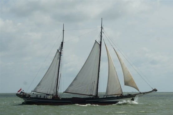 Sail Kampen 2024