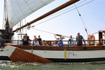 Kleine afbeelding 5 van Babbelaer