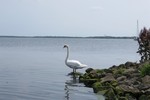 Kleine afbeelding 5 van Weekend IJsseldelta met gezin