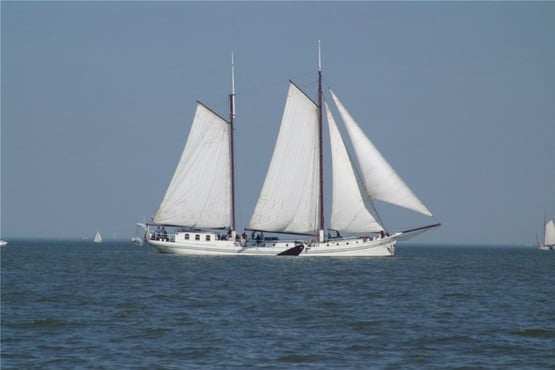 Segelwettbewerb auf dem IJsselmeer