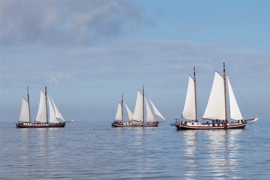 Midweek zeilen IJsselmeer