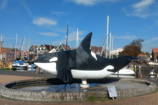 Zeilvakantie Midden Nederland Urk Orka