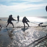 Schulreise zum Wattenmeer