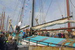 Kleine afbeelding 5 van Pelikaan (HAR)