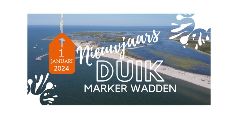 Marker Wadden Nieuwjaarsduik
