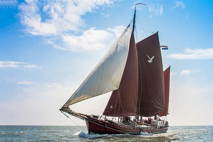 Detailafbeelding van Zwarte Valk