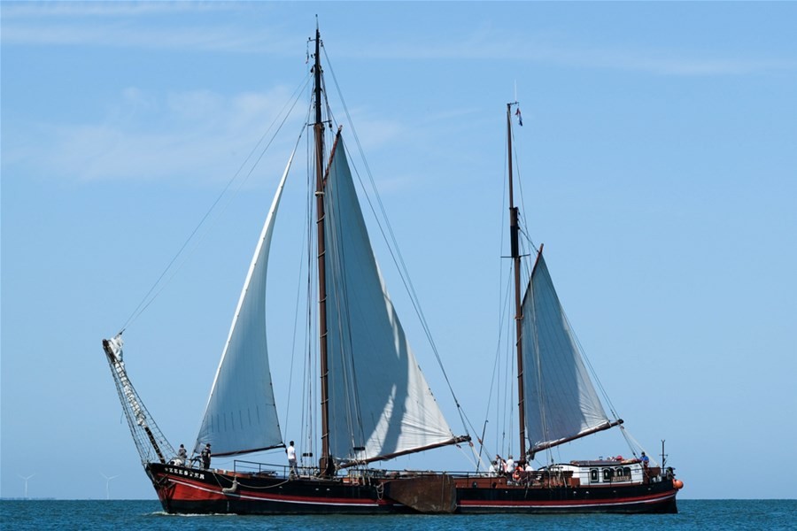 Detailafbeelding van Zeester