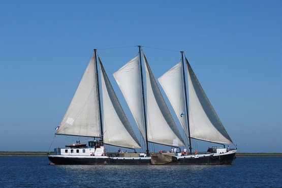 Segelschiff auf dem IJsselmeer