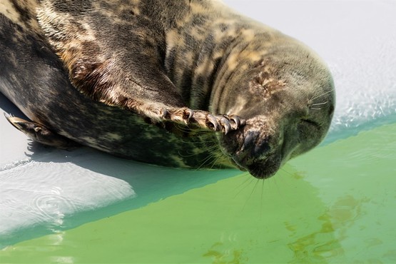 Weekend weg Waddeneilanden Ecomare Texel