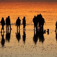 droogvallen op de Waddenzee met de Linde