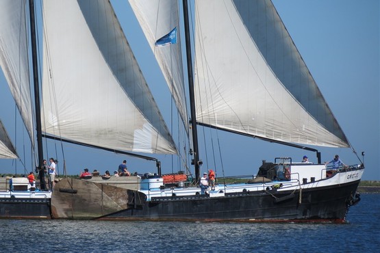 Week IJsselmeer en Markermeer grietje