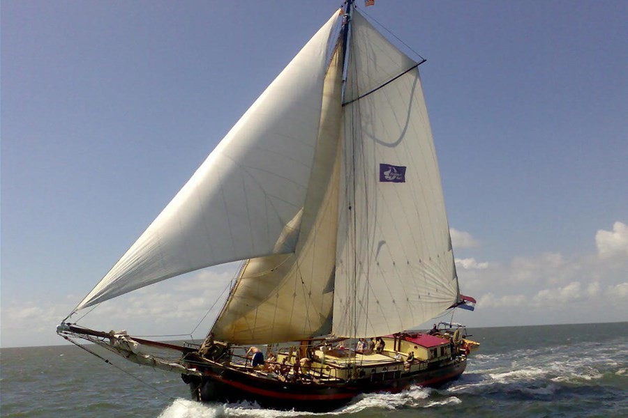 Detailafbeelding van Amore Vici