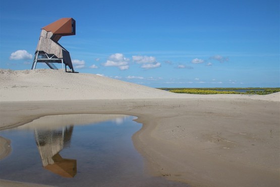 Dagtocht Marker Wadden steltloper