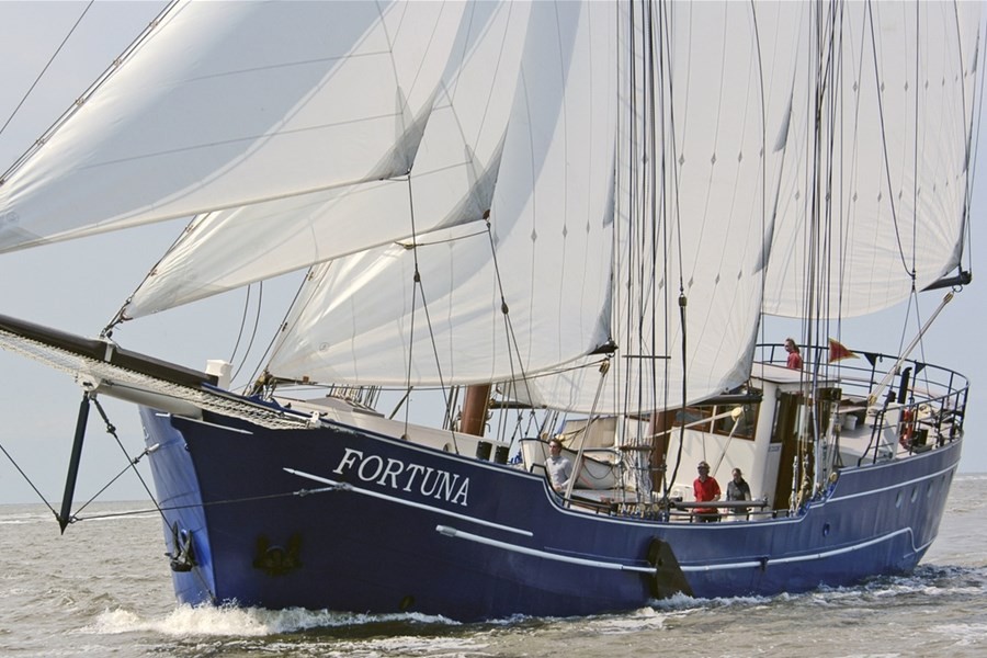 Detailafbeelding van Fortuna