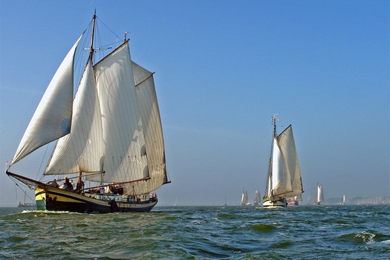 Wedstrijdbemanning zeilrace