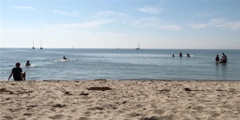 activiteiten Marker Wadden