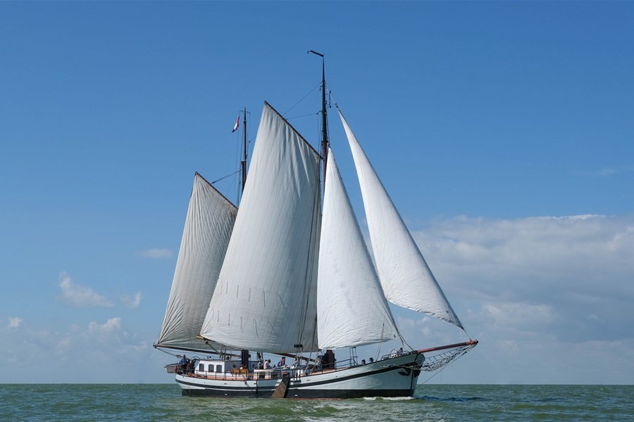 Detailafbeelding van Spes Nova