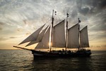 Kleine afbeelding 20 van Linde