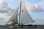 Miniaturansicht 1 von Pelikaan