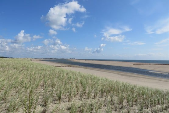 National Park Dunes of Texel