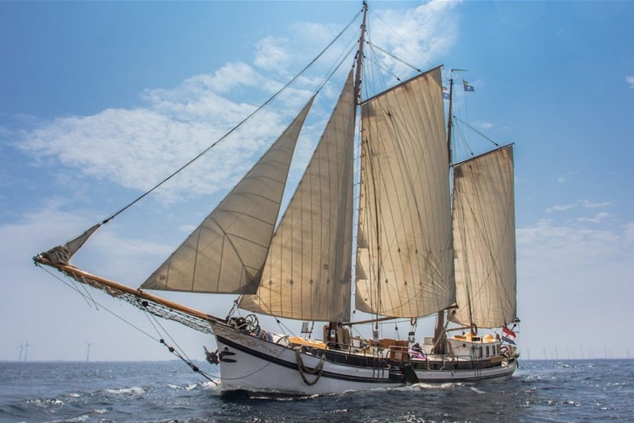 Detailafbeelding van Zeven Wouden