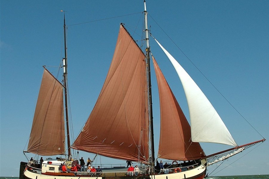 Detailafbeelding van Vrouwezand