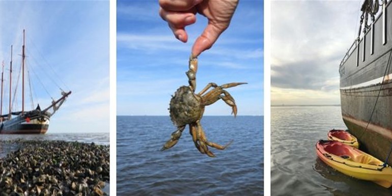 Blog Droogvallen op de Waddenzee met de Linde 700X300