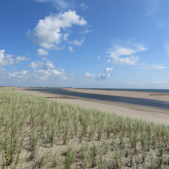 National Park Dunes of Texel
