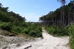 Thumbnail 2 of Walking tour over the island Terschelling