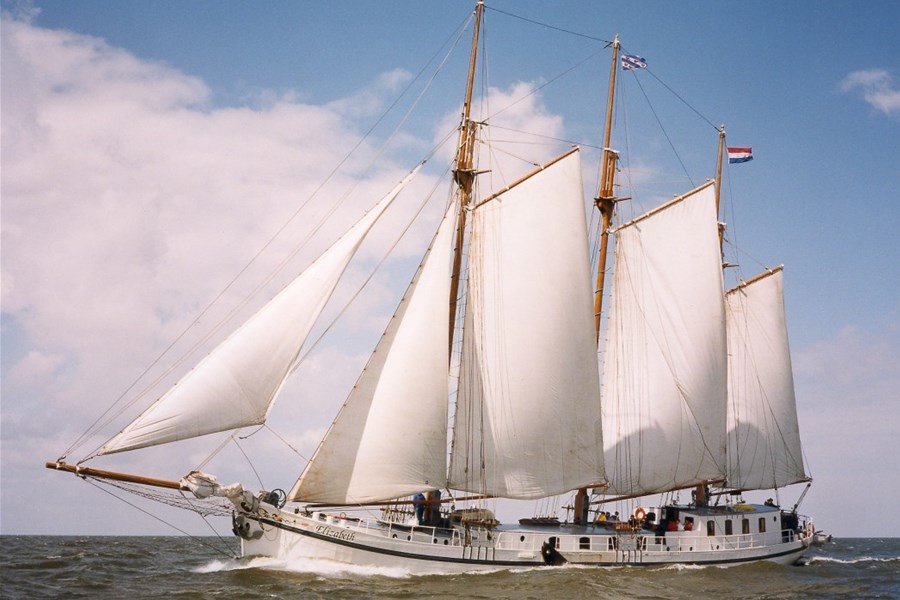 Detailafbeelding van Elizabeth